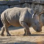 ホテル Selwo - Animal Park Tickets Included