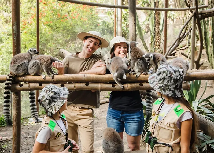 Selwo - Animal Park Tickets Included 3* Estepona