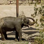 호텔 Selwo - Animal Park Tickets Included 에스테포나