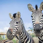 Selwo - Animal Park Tickets Included 3* Estepona