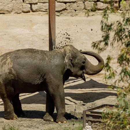 فندق Selwo - Animal Park Tickets Included إِستيبونا