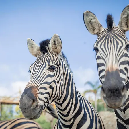 Selwo - Animal Park Tickets Included 3* エステポナ