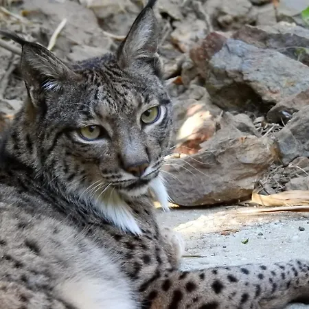 Selwo - Animal Park Tickets Included エステポナ
