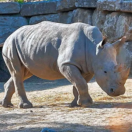 Selwo - Animal Park Tickets Included Estepona