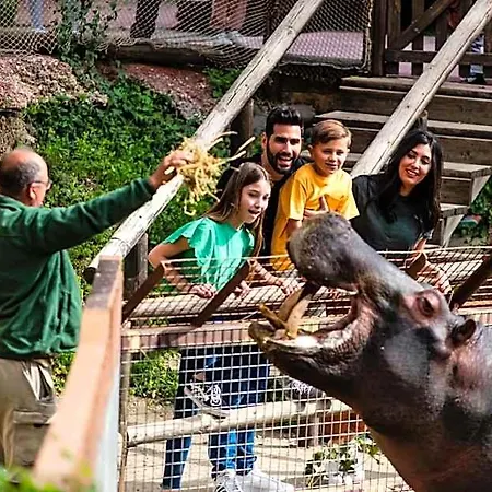 Selwo - Animal Park Tickets Included 3* Estepona