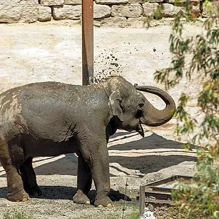호텔 Selwo - Animal Park Tickets Included