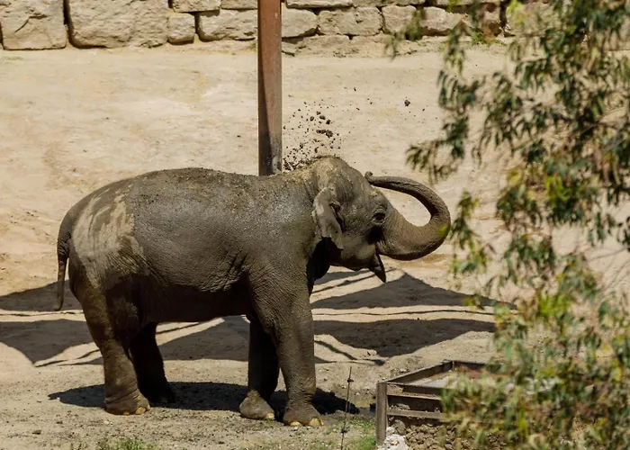 מלון Selwo - Animal Park Tickets Included אסטפונה
