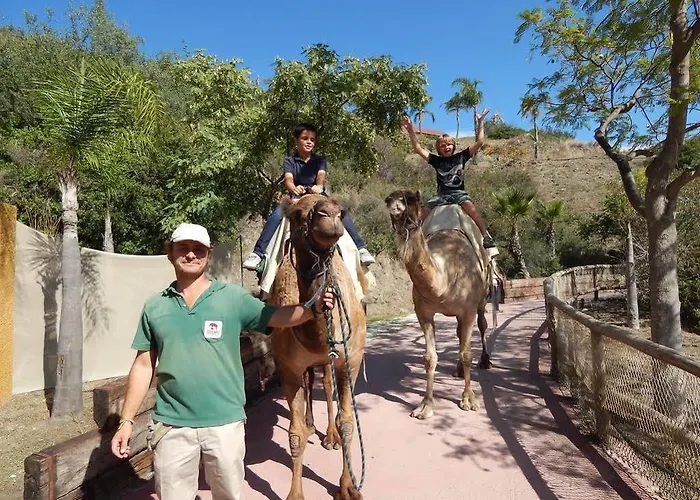 Selwo - Animal Park Tickets Included מלון