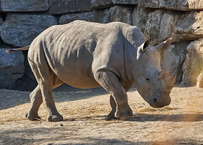 Hotel Selwo - Animal Park Tickets Included