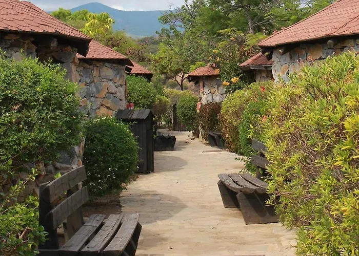 Selwo - Animal Park Tickets Included Hotel 3*