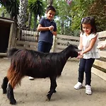 Selwo - Animal Park Tickets Included 3*
