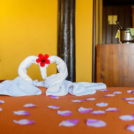 Selwo - Animal Park Tickets Included 3*