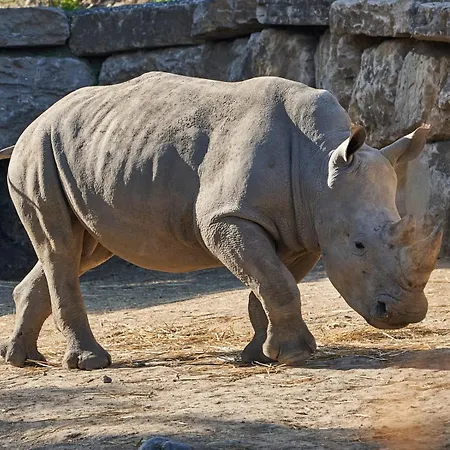 Hotel Selwo - Animal Park Tickets Included